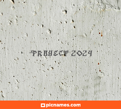 Proyect 2024